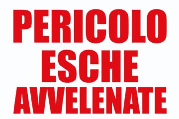 Avviso alla cittadinanza 